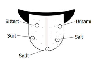 Umami